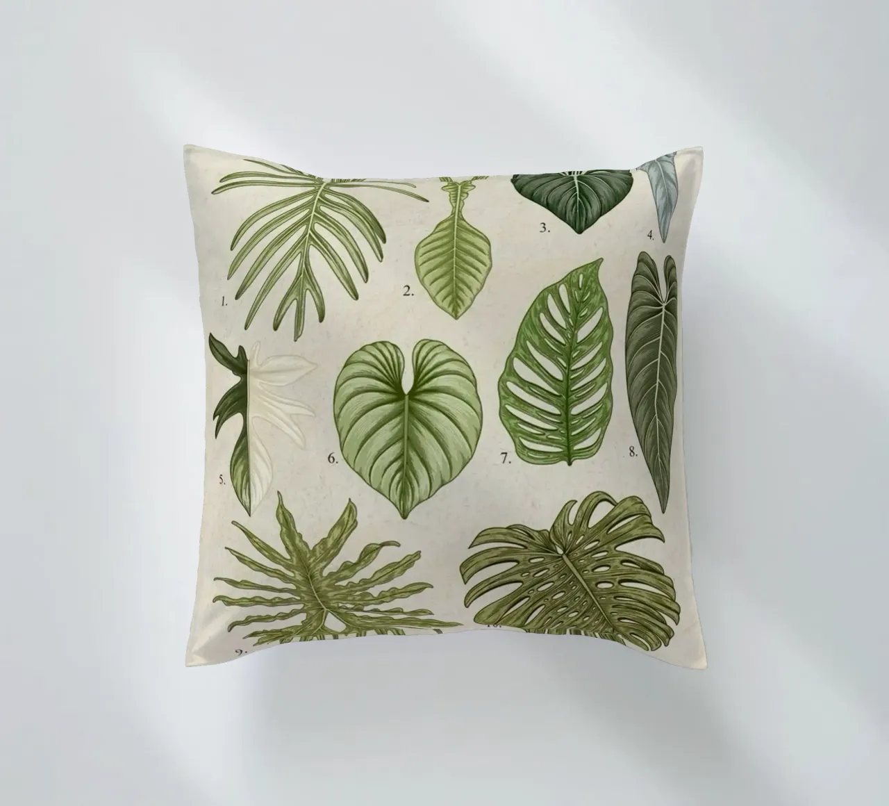 pianta di filodendro foglie illustrazione botanica cuscino da Harley Wood