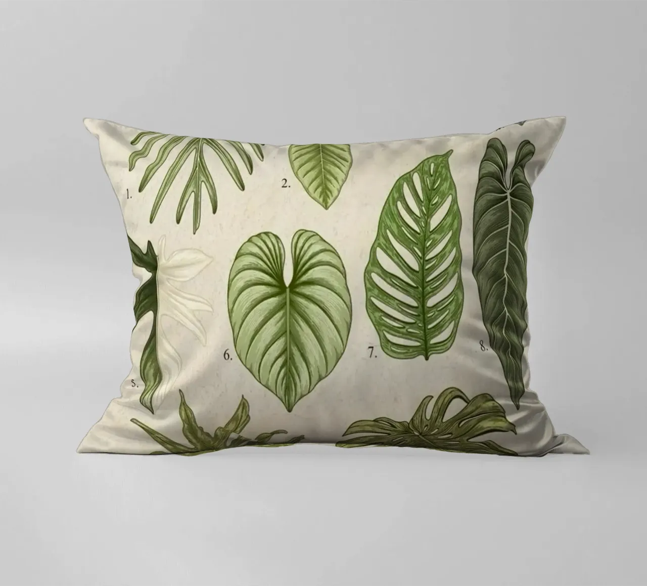 pianta di filodendro foglie illustrazione botanica cuscino da Harley Wood