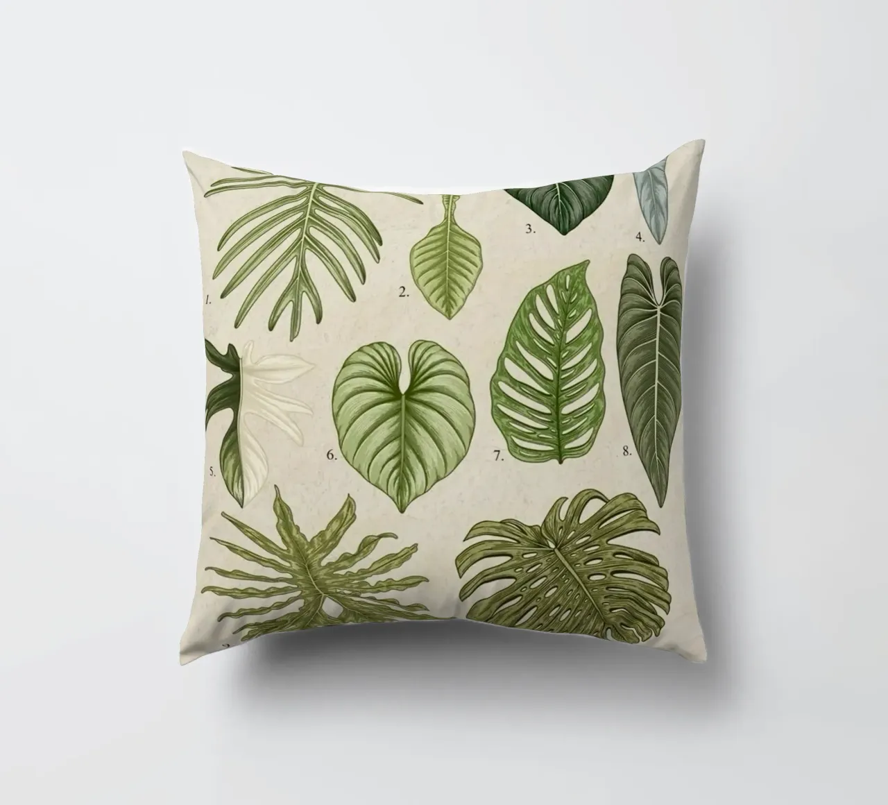 pianta di filodendro foglie illustrazione botanica cuscino da Harley Wood