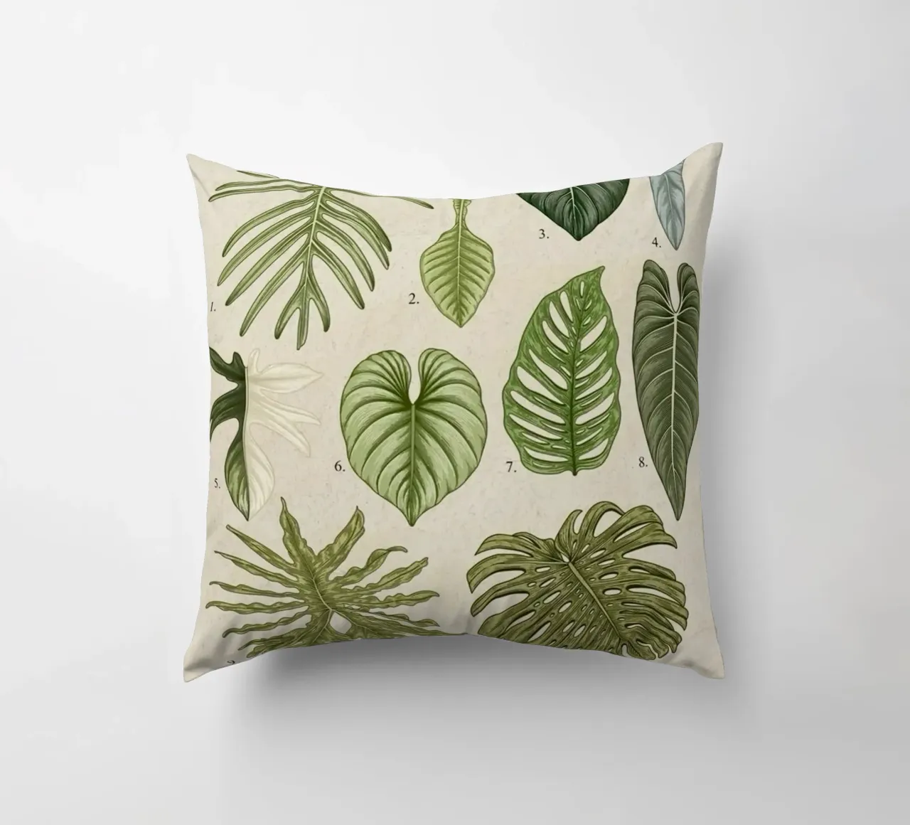 pianta di filodendro foglie illustrazione botanica cuscino da Harley Wood