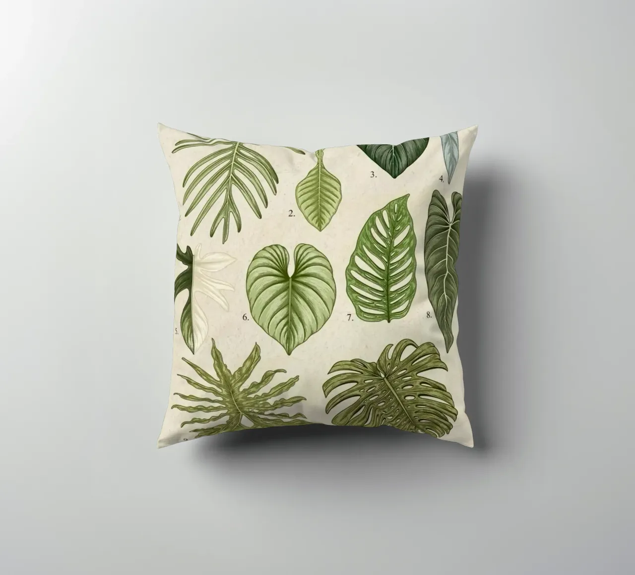 pianta di filodendro foglie illustrazione botanica cuscino da Harley Wood