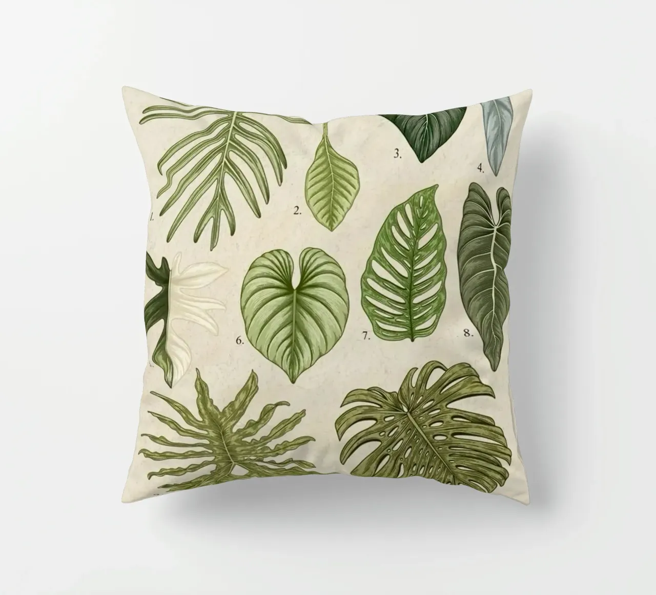 pianta di filodendro foglie illustrazione botanica cuscino da Harley Wood