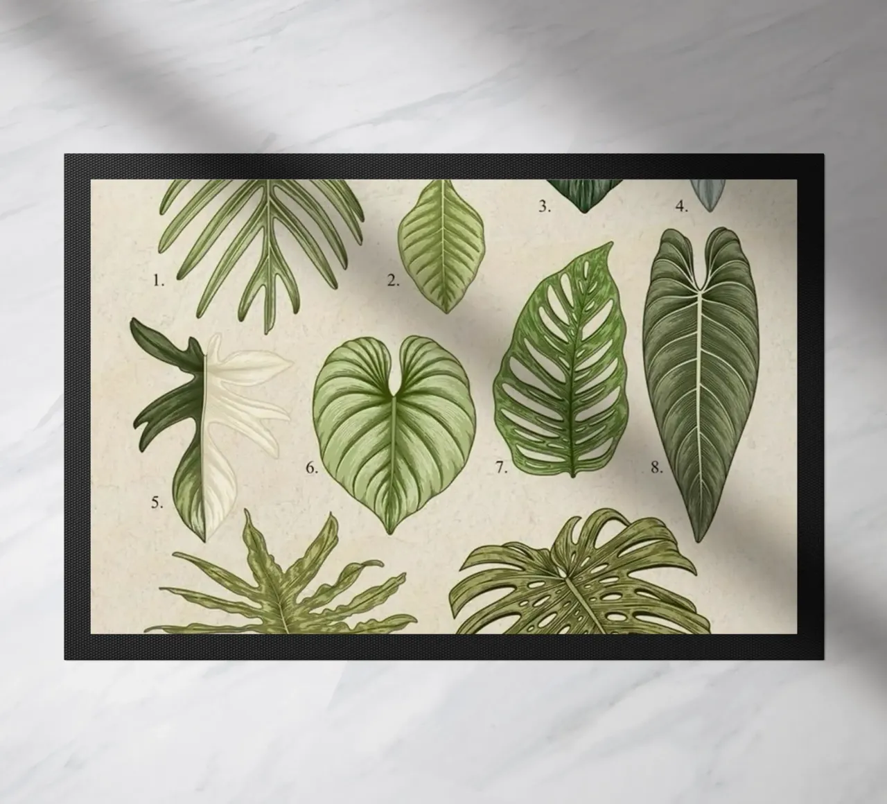 pianta di filodendro foglie illustrazione botanica zerbino da Harley Wood