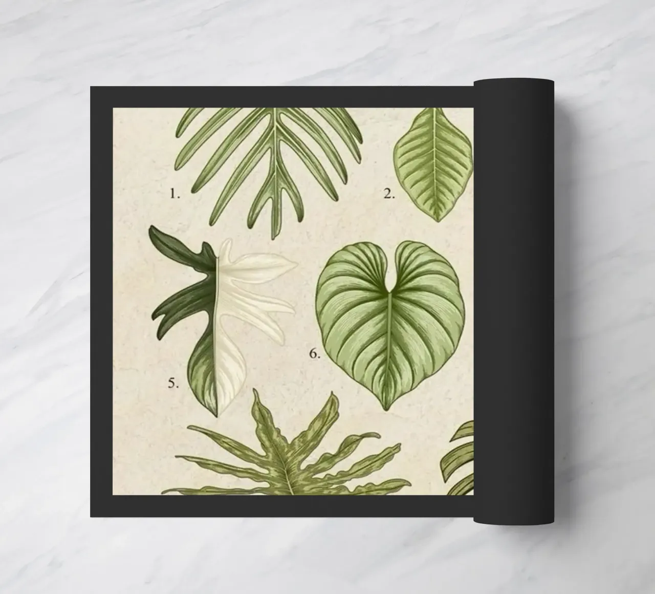 pianta di filodendro foglie illustrazione botanica zerbino da Harley Wood
