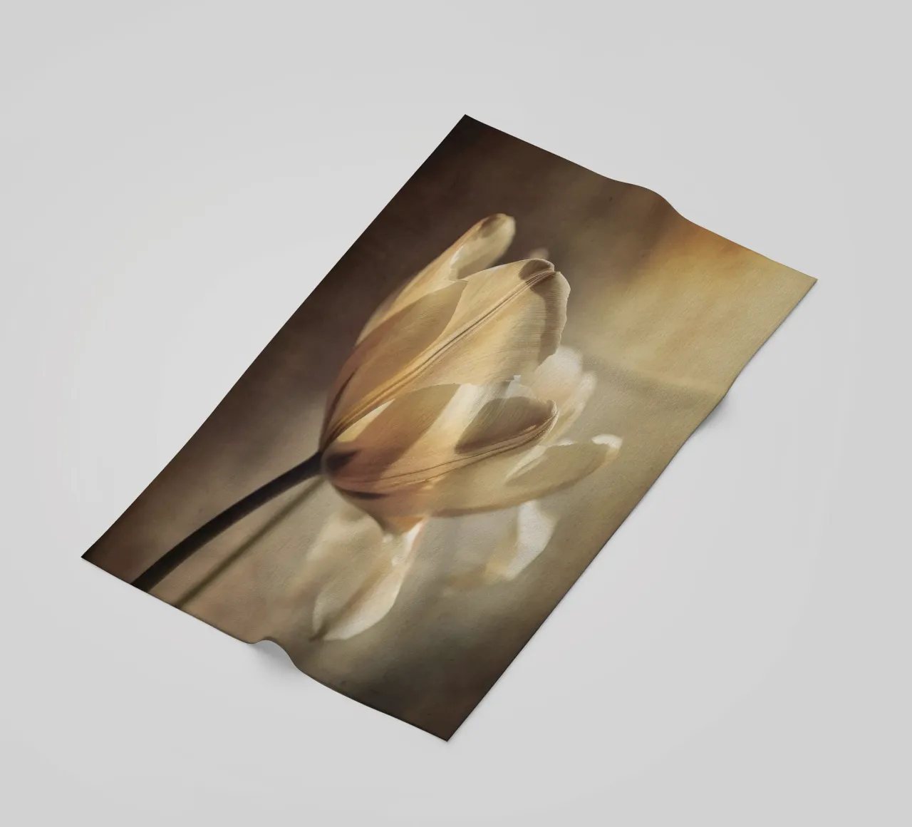 Pastel Tulip telo mare da treechild