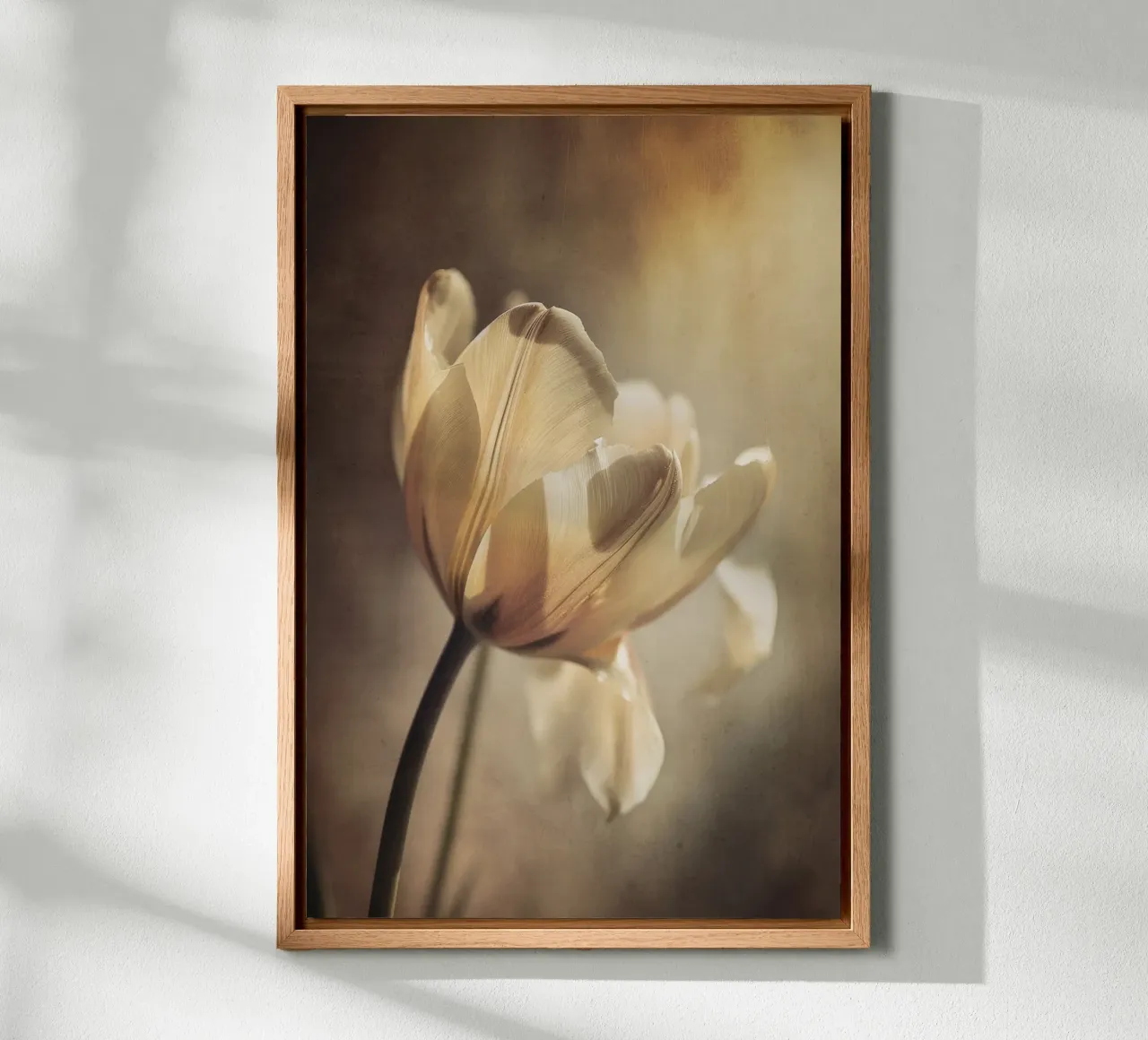 Pastel Tulip Alu-Dibond von treechild