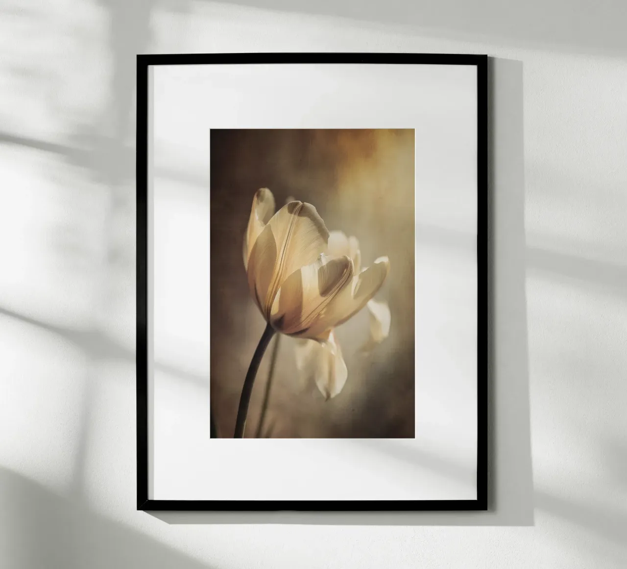 Pastel Tulip carta hahnemühle da treechild