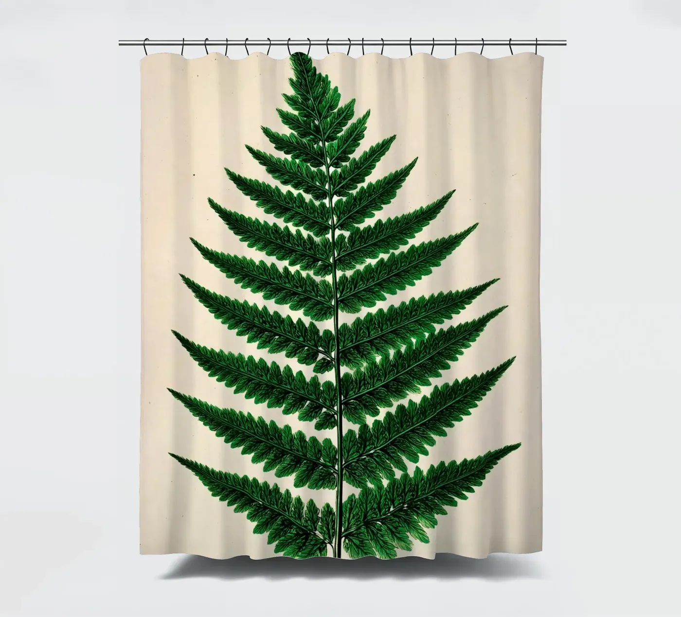 Farnblatt Duschvorhang von Studio Verde