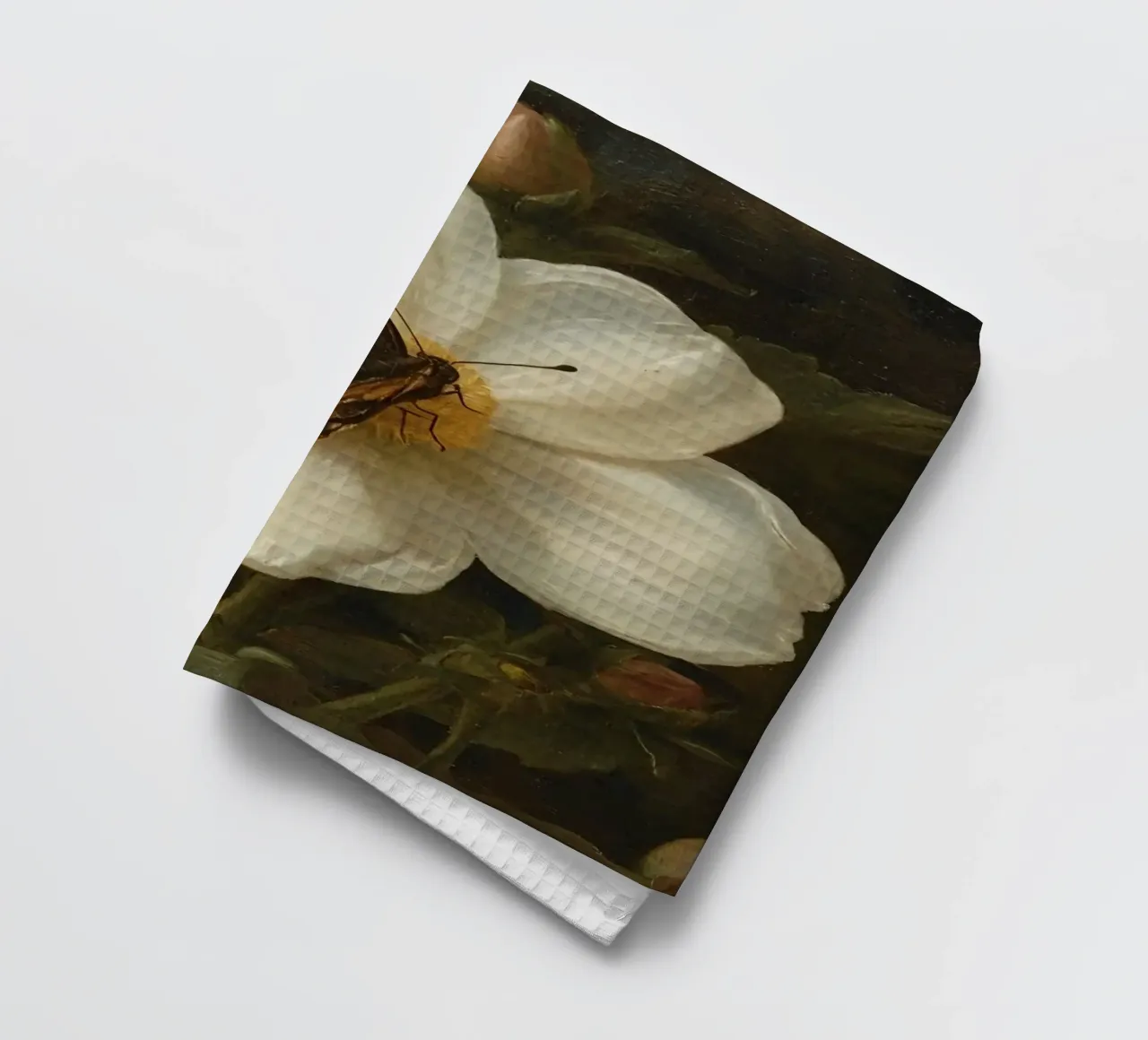 Dipinto a olio di farfalla che si posa su un fiore bianco canovaccio da cucina da DesignDoodle
