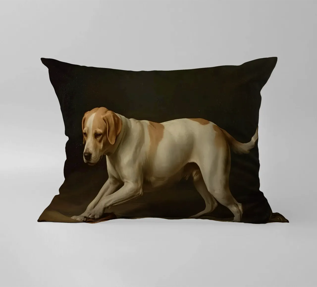 Cane giocoso che interagisce con una palla in una stanza poco illuminata cuscino da DesignDoodle