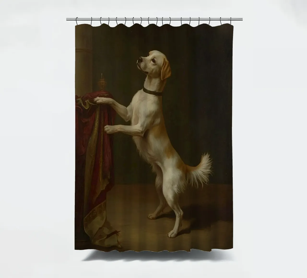 Cane in piedi con le zampe su un tavolo in un ambiente classico tenda da doccia da DesignDoodle