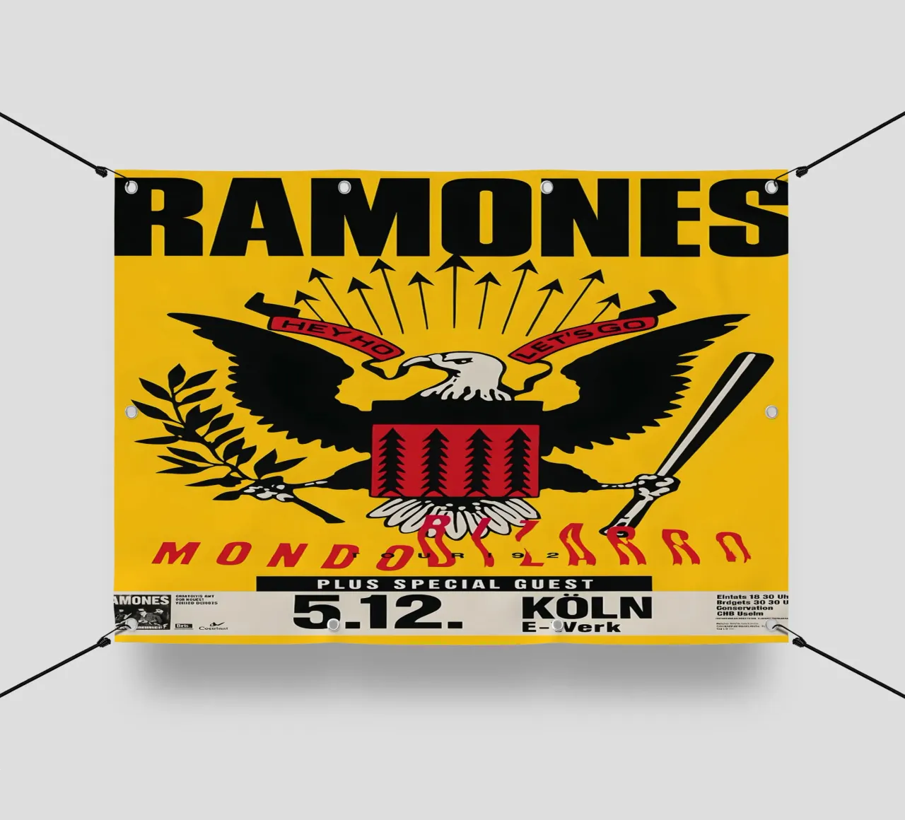 The Ramones Signed 1992 German Concert pvc cover by DGUnder