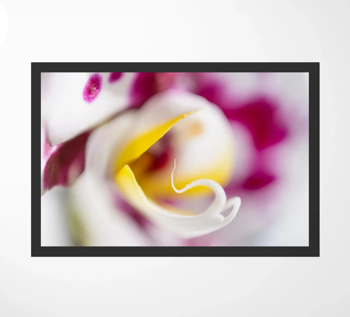 Orchidee #4 deurmat van rafael campezato