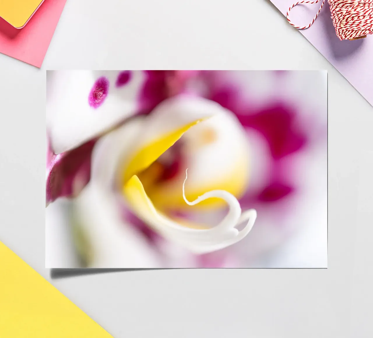 Orchidea #4 foglio adesivo da rafael campezato