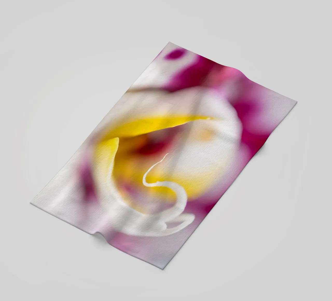 Orchid #4 telo mare da rafael campezato