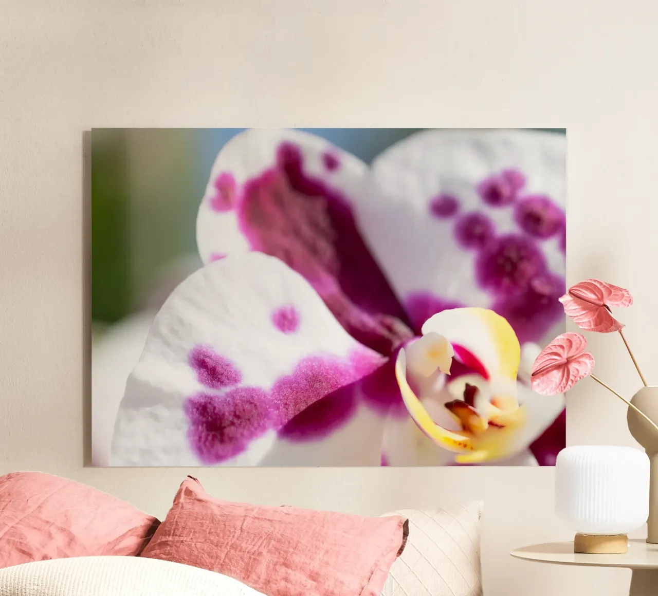 Orchidee #5 Acryl-Glas von rafael campezato