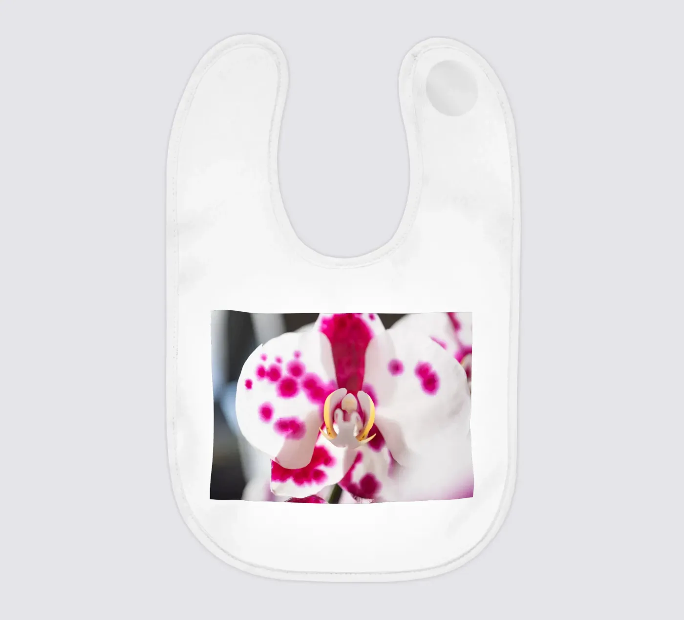 Orchidea #6 bavaglino da rafael campezato