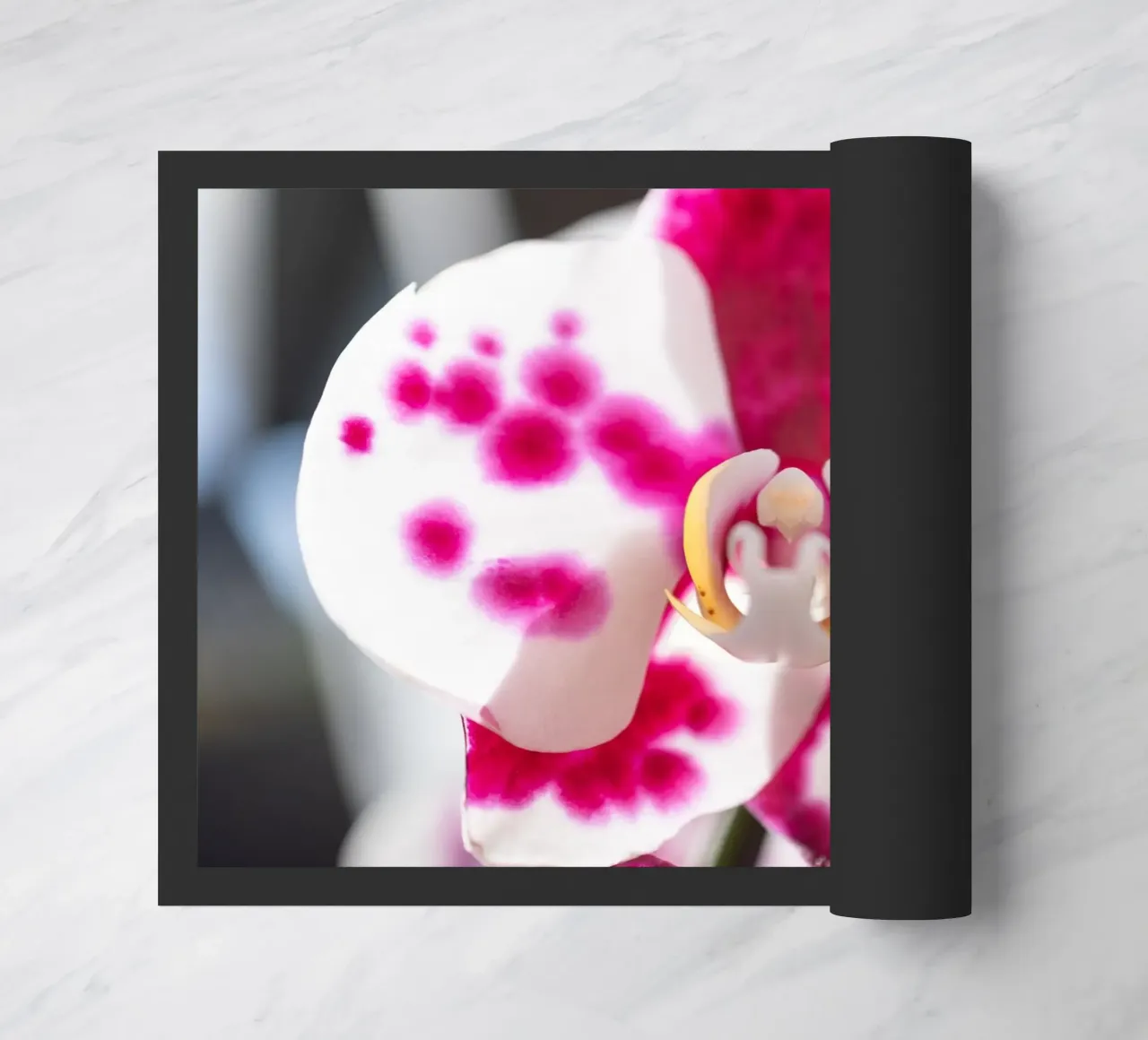 Orchidea #6 zerbino da rafael campezato