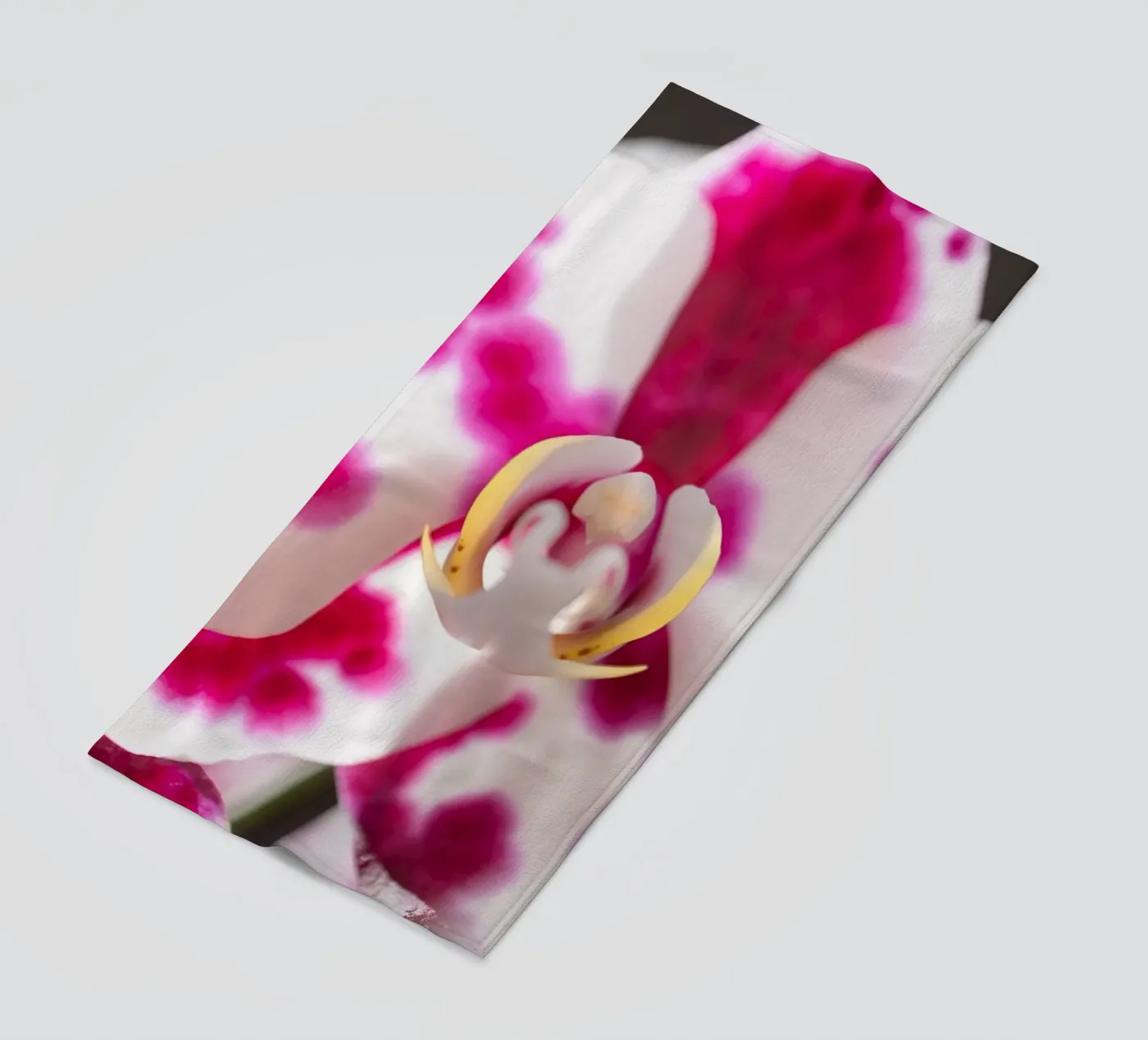 Orchidea #6 telo mare da rafael campezato
