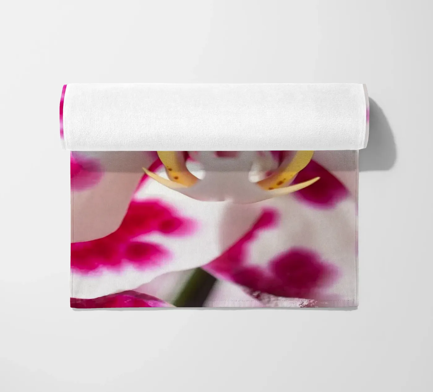 Orchidea #6 telo mare da rafael campezato