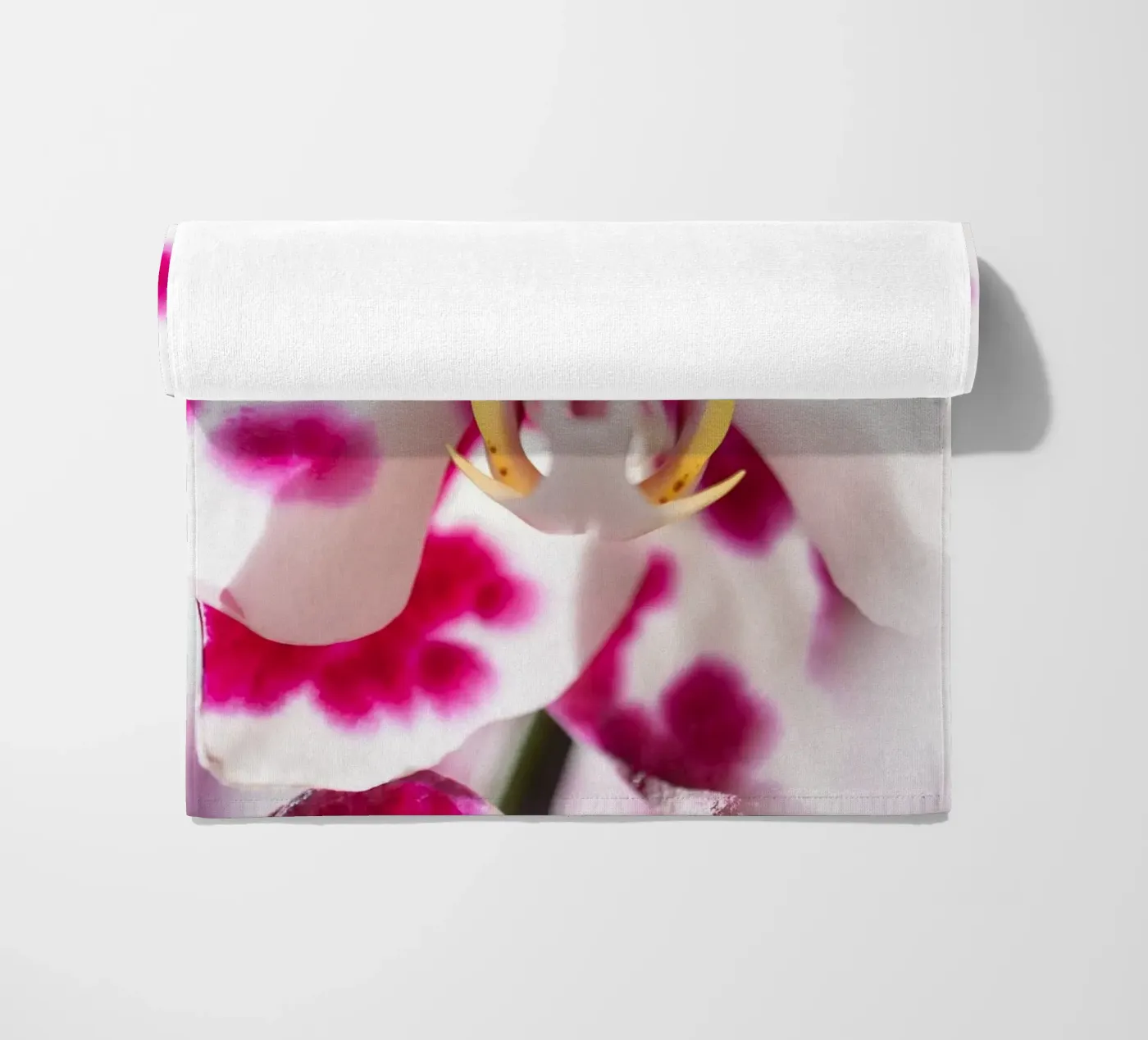 Orchidea #6 telo mare da rafael campezato