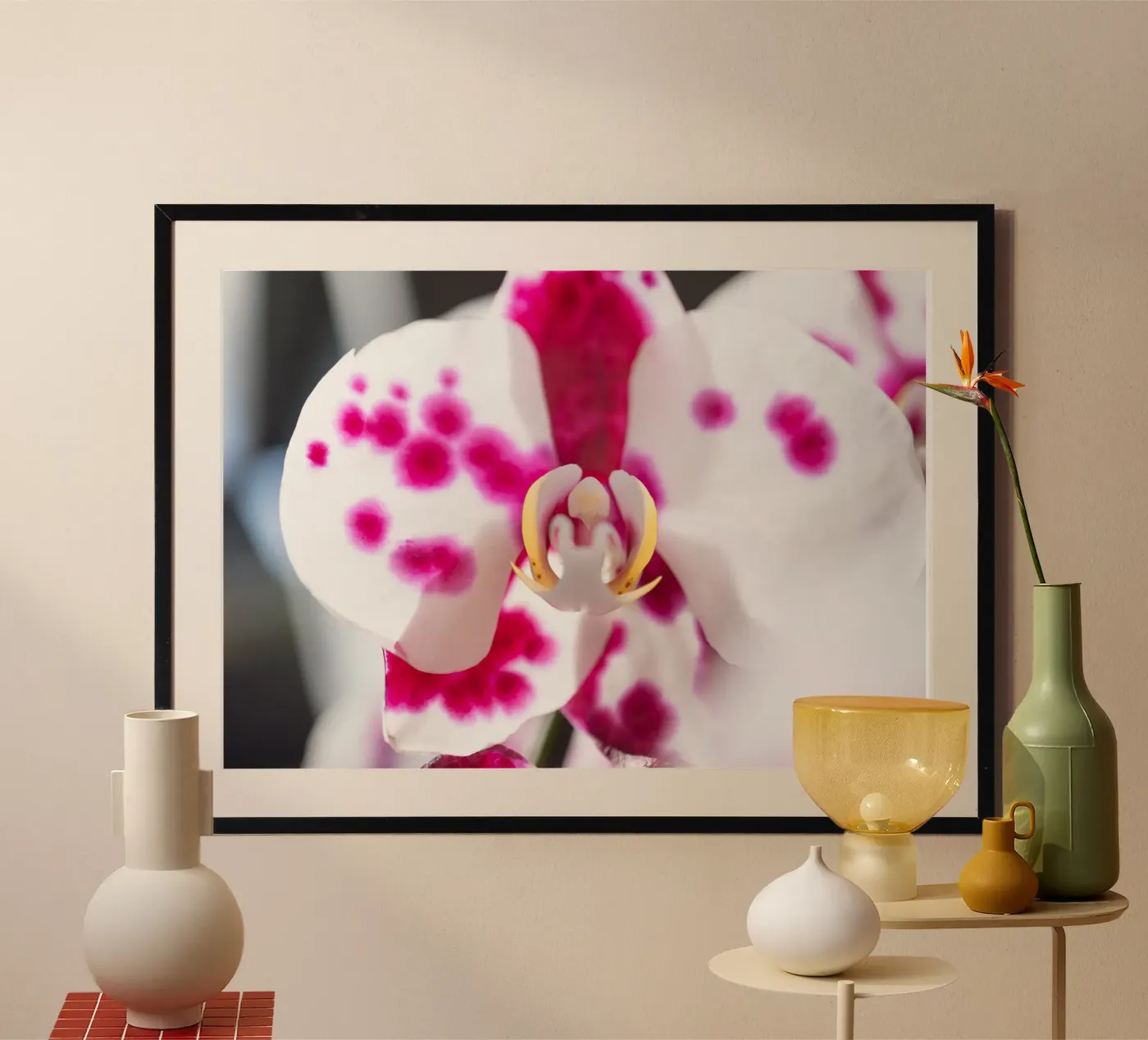 Orchid #6 poster da rafael campezato