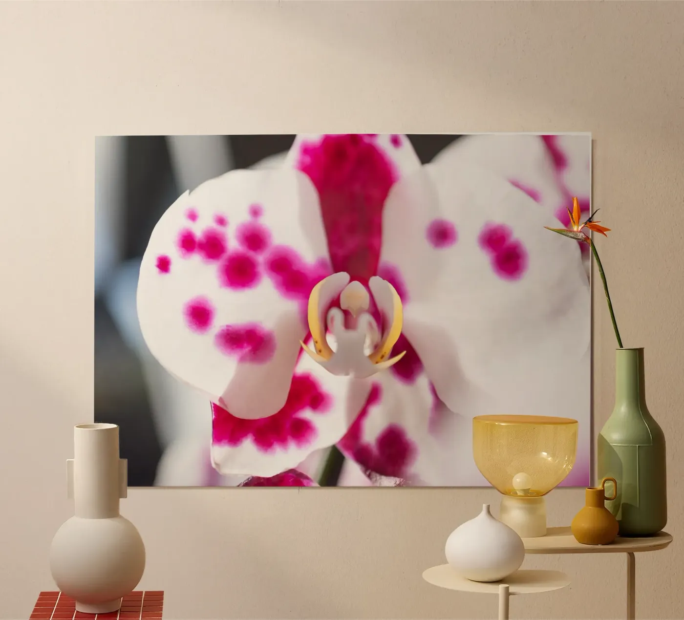 Orchidea #6 poster da rafael campezato