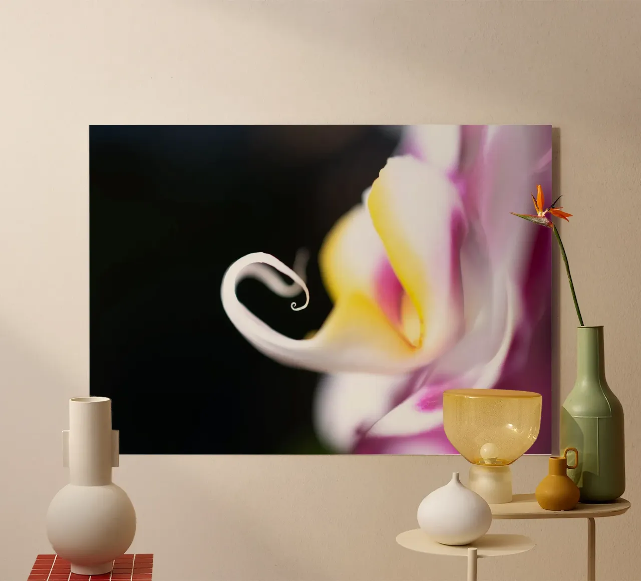 Orchidea #7 plexiglass da rafael campezato