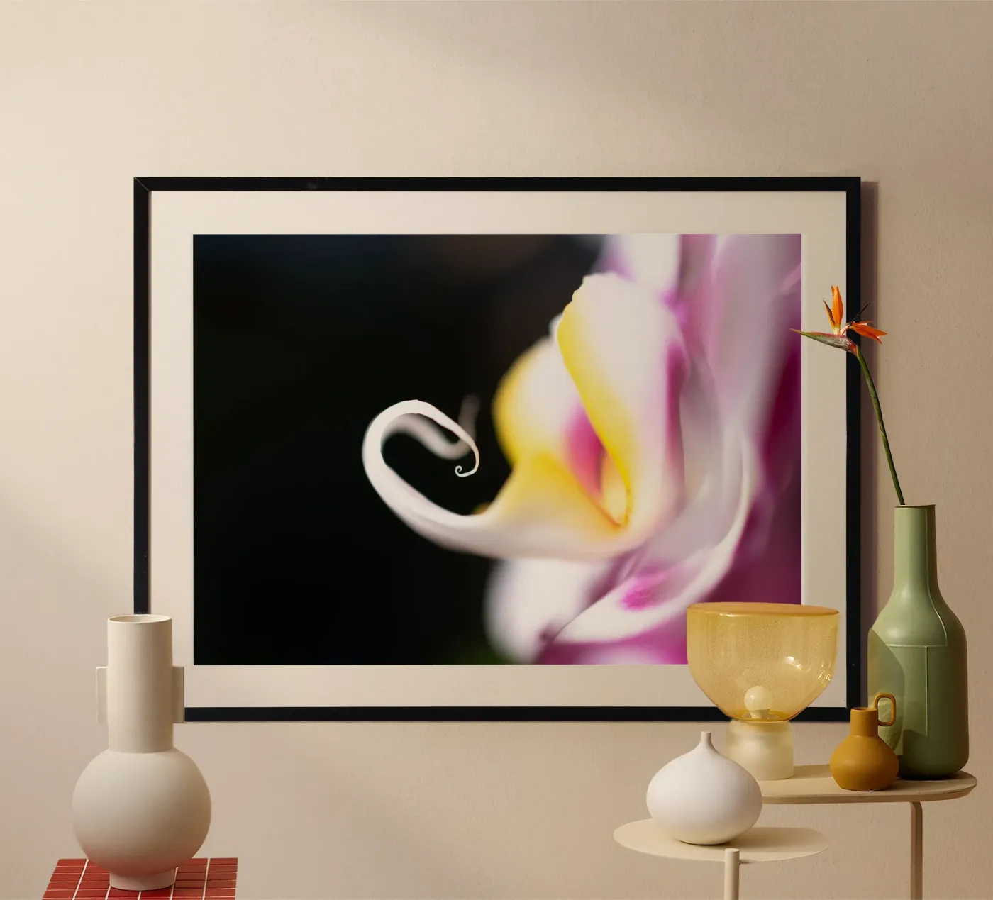 Orchid #7 poster da rafael campezato