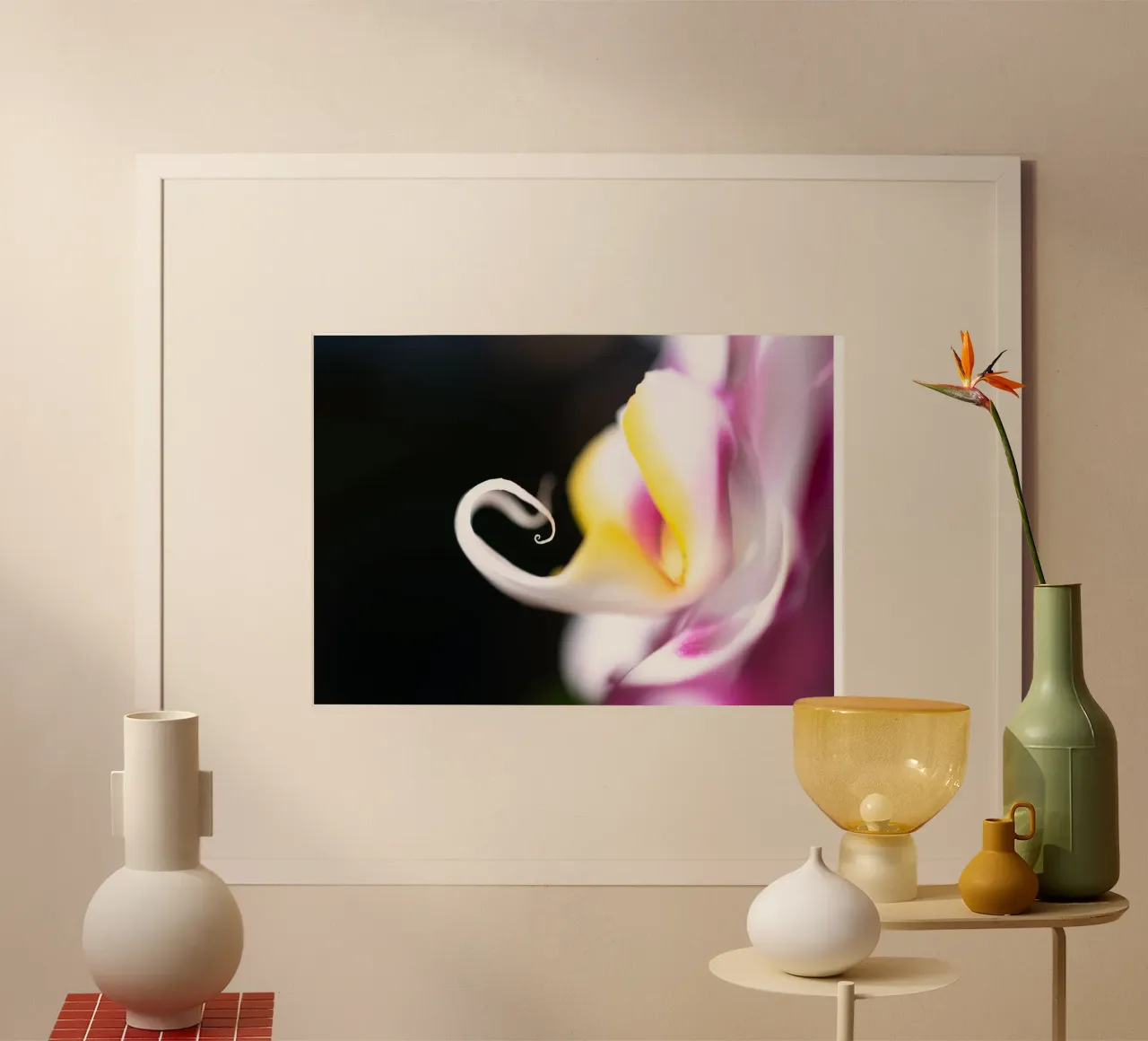 Orchidea #7 poster da rafael campezato