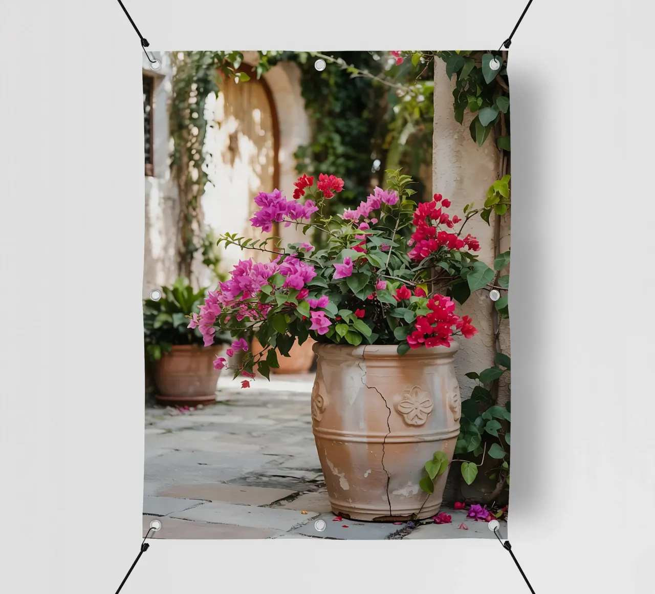 Bougainvillea in vaso in una stradina soleggiata telo in pvc da Casa Limon