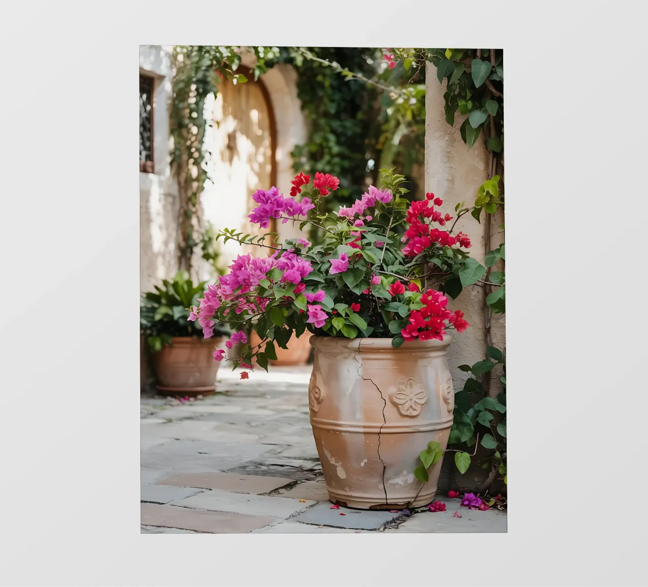 Bougainvillea in vaso in una stradina soleggiata telo in pvc da Casa Limon