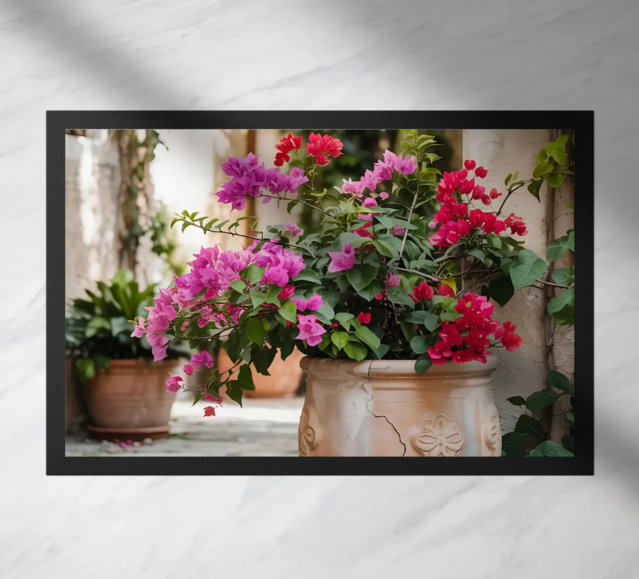 Bougainvillea in vaso in una stradina soleggiata zerbino da Casa Limon
