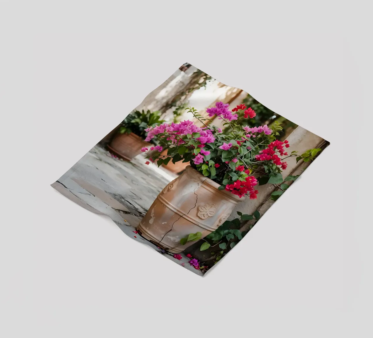 Bougainvillea in vaso in una stradina soleggiata coperta in pile da Casa Limon