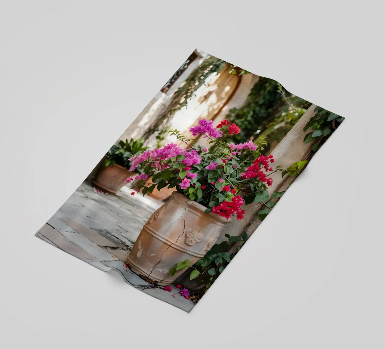 Bougainvillea in vaso in una stradina soleggiata telo mare da Casa Limon