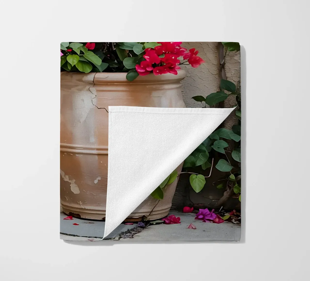 Bougainvillea in vaso in una stradina soleggiata telo mare da Casa Limon
