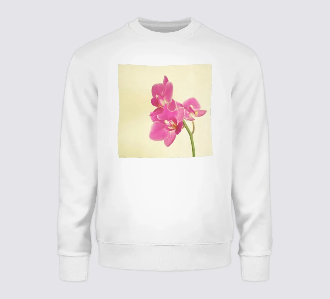 Orchidea rosa felpa da Cassia Beck Photography