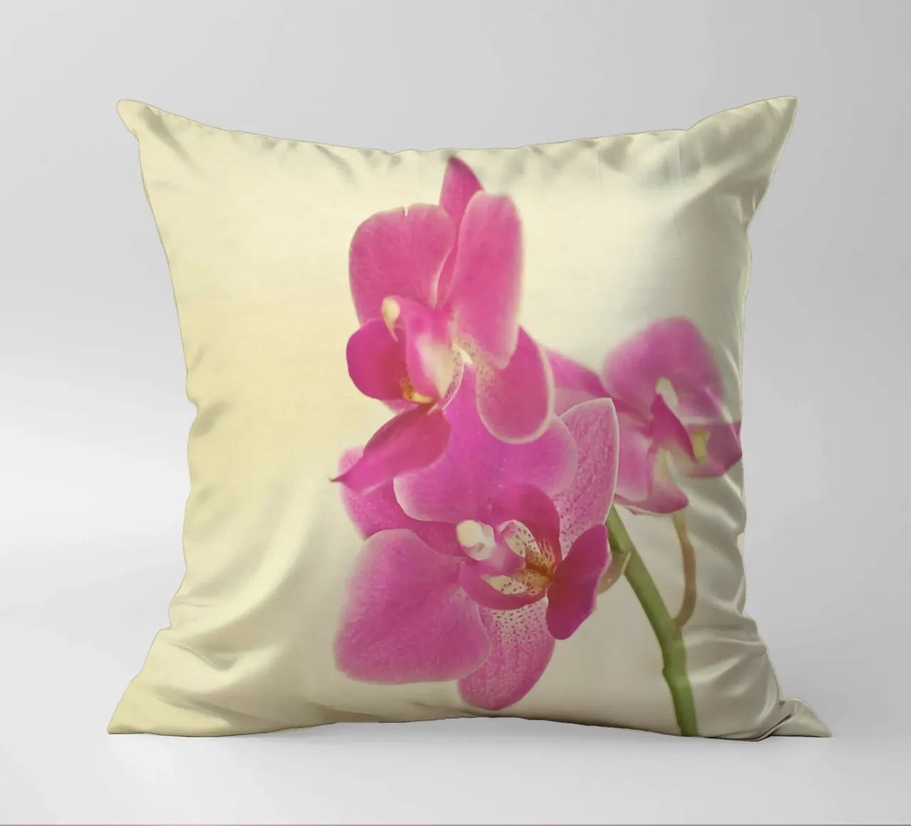 Orchidea rosa cuscino da Cassia Beck Photography