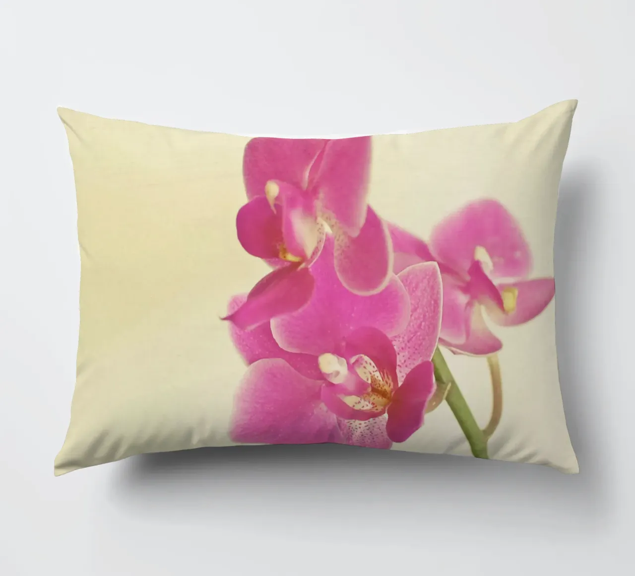 Orchidea rosa cuscino da Cassia Beck Photography