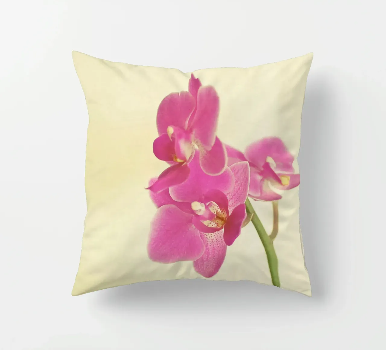 Orchidea rosa cuscino da Cassia Beck Photography
