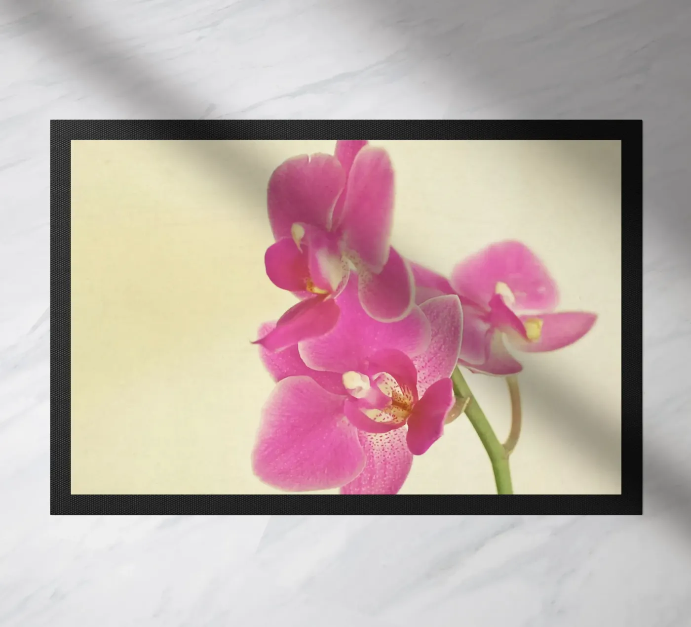 Pink Orchid zerbino da Cassia Beck Photography