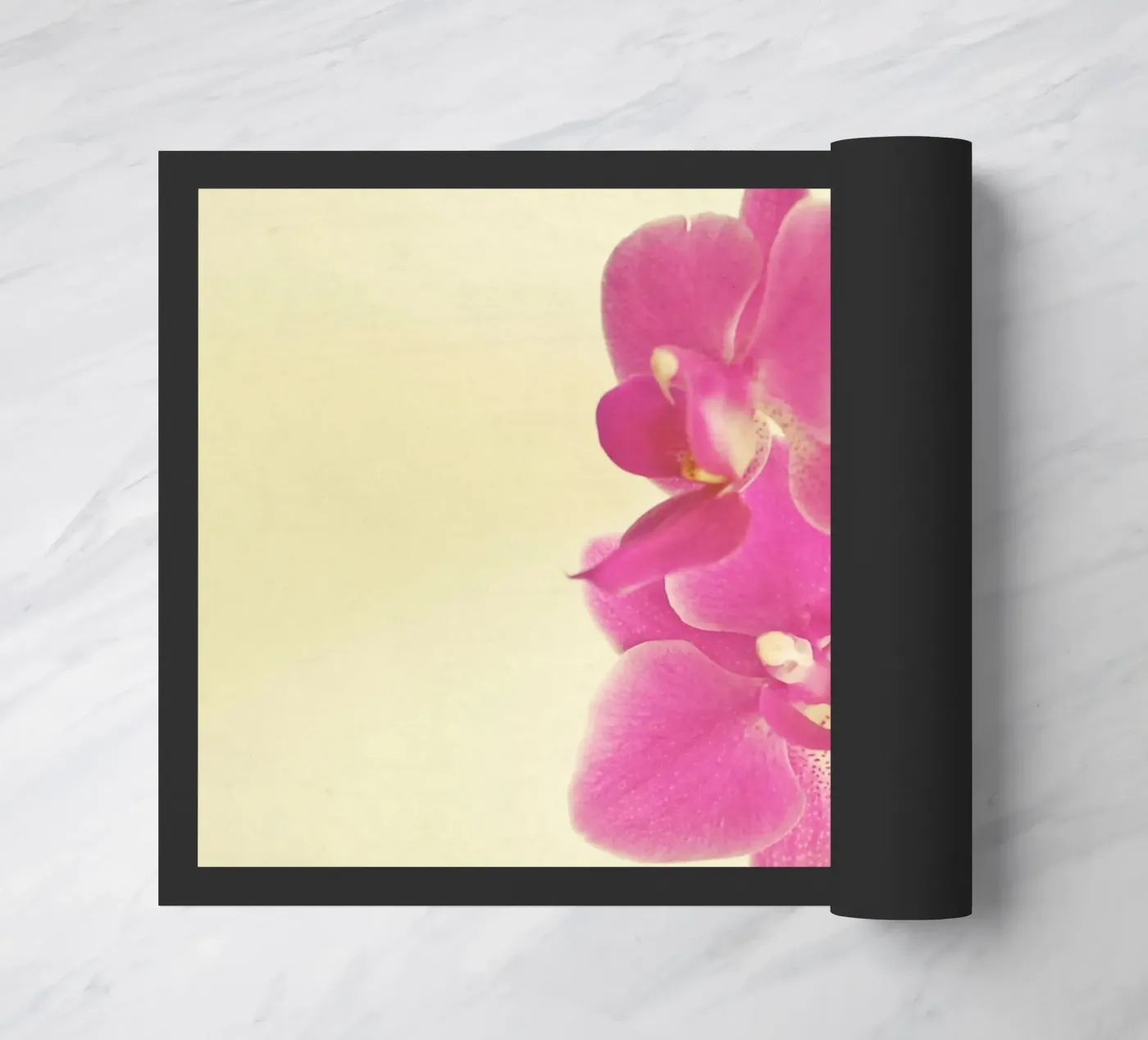 Pink Orchid zerbino da Cassia Beck Photography