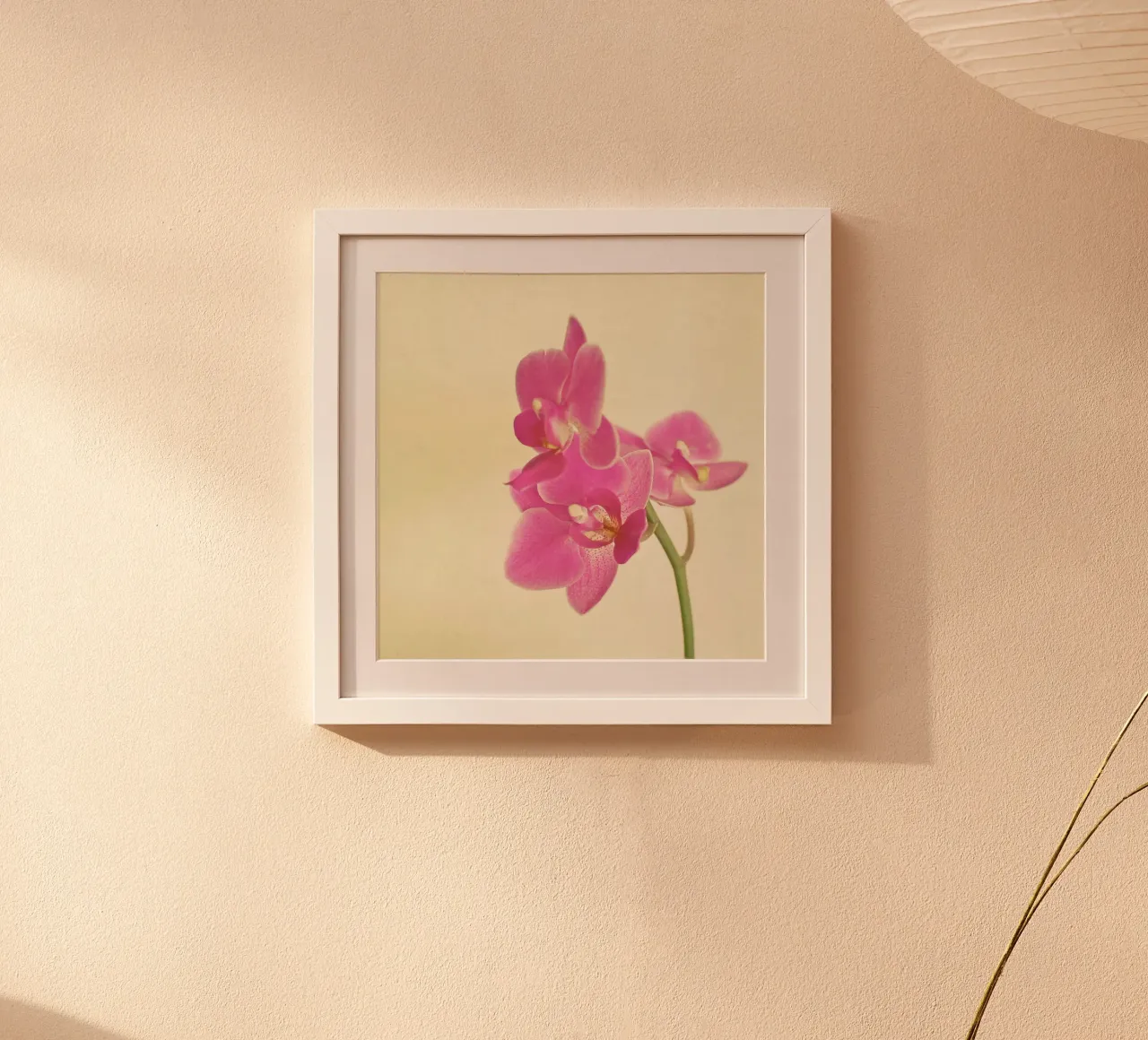 Orchidea rosa poster da Cassia Beck Photography