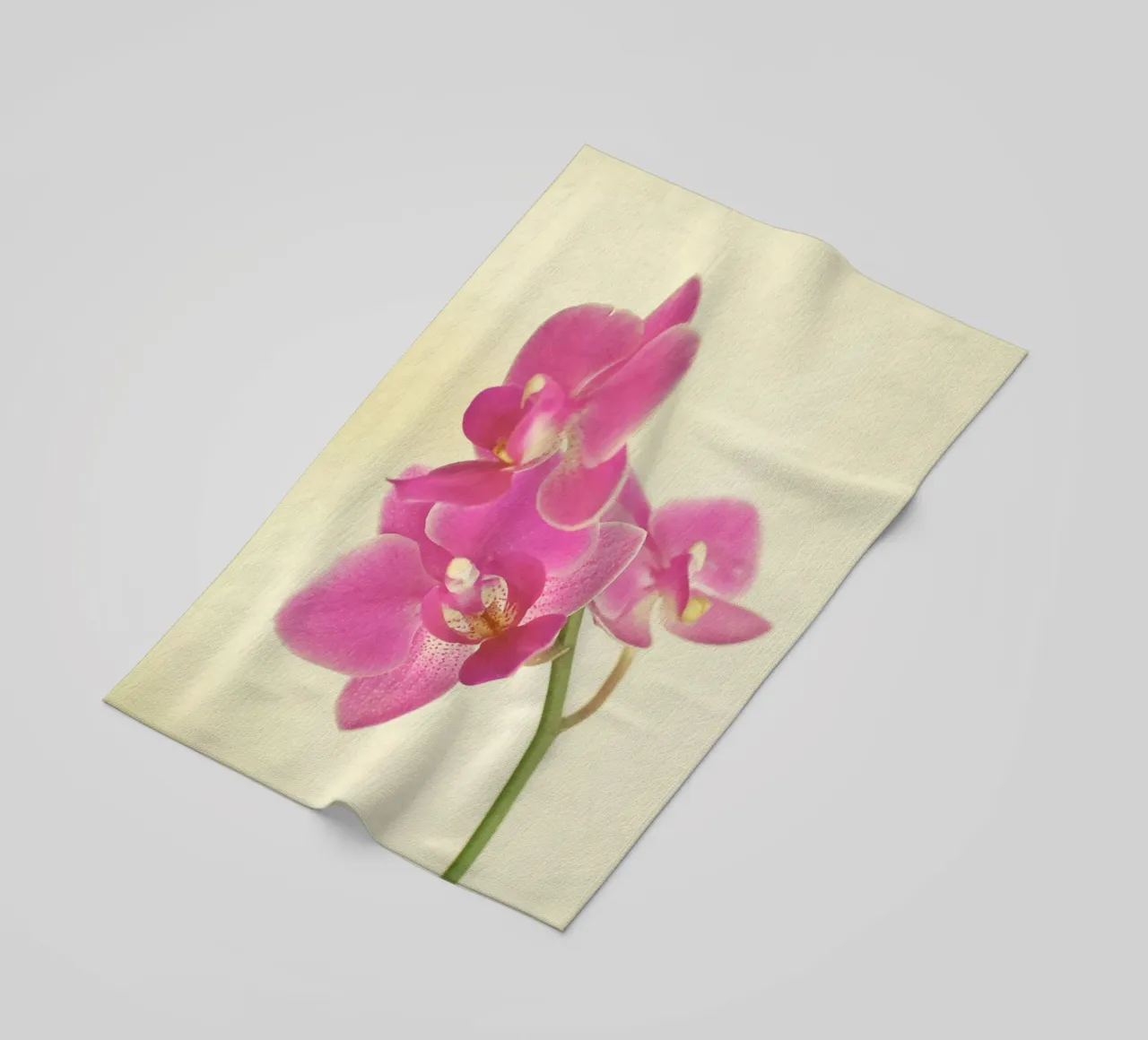 Orchidea rosa telo mare da Cassia Beck Photography