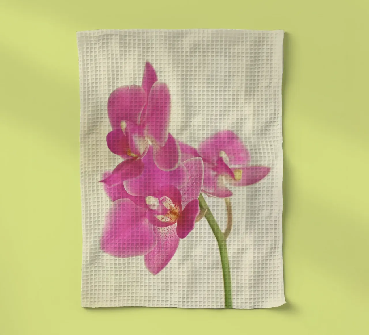 Orchidea rosa canovaccio da cucina da Cassia Beck Photography