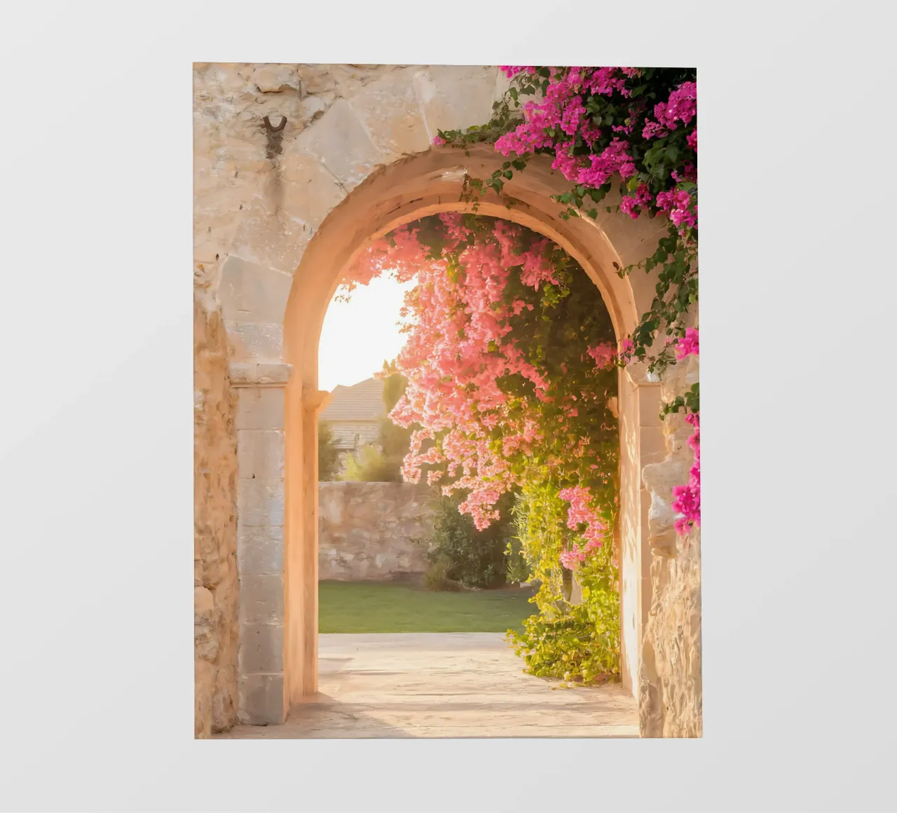 L'arco fiorito e la luce dorata del Sud pellicola backlit da Casa Limon