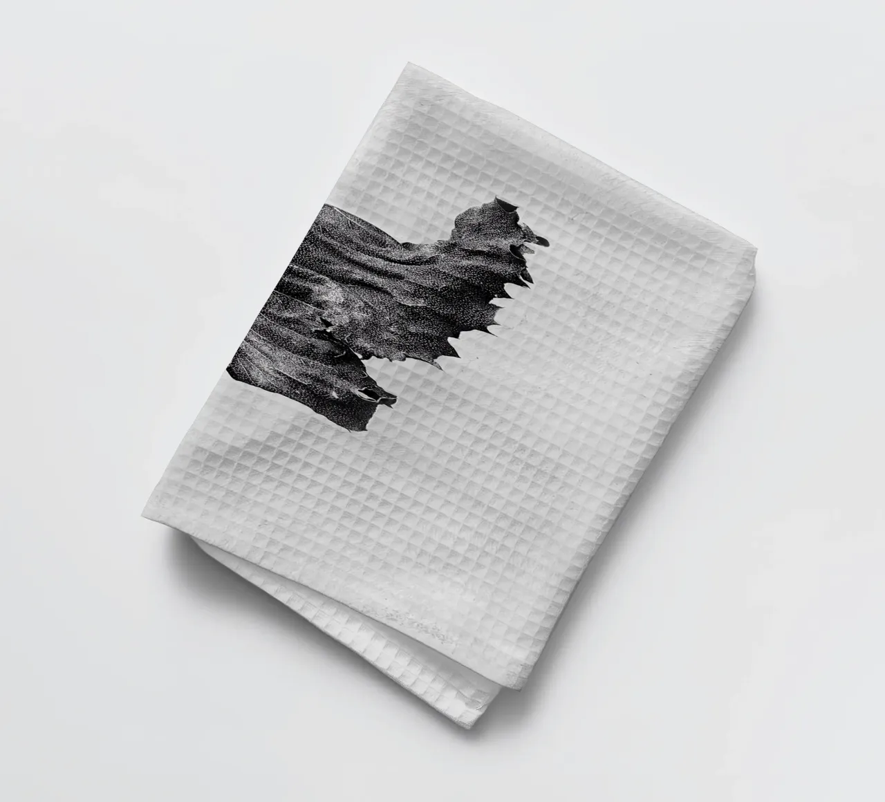 Leaf BW tea towel by Amber Hughes