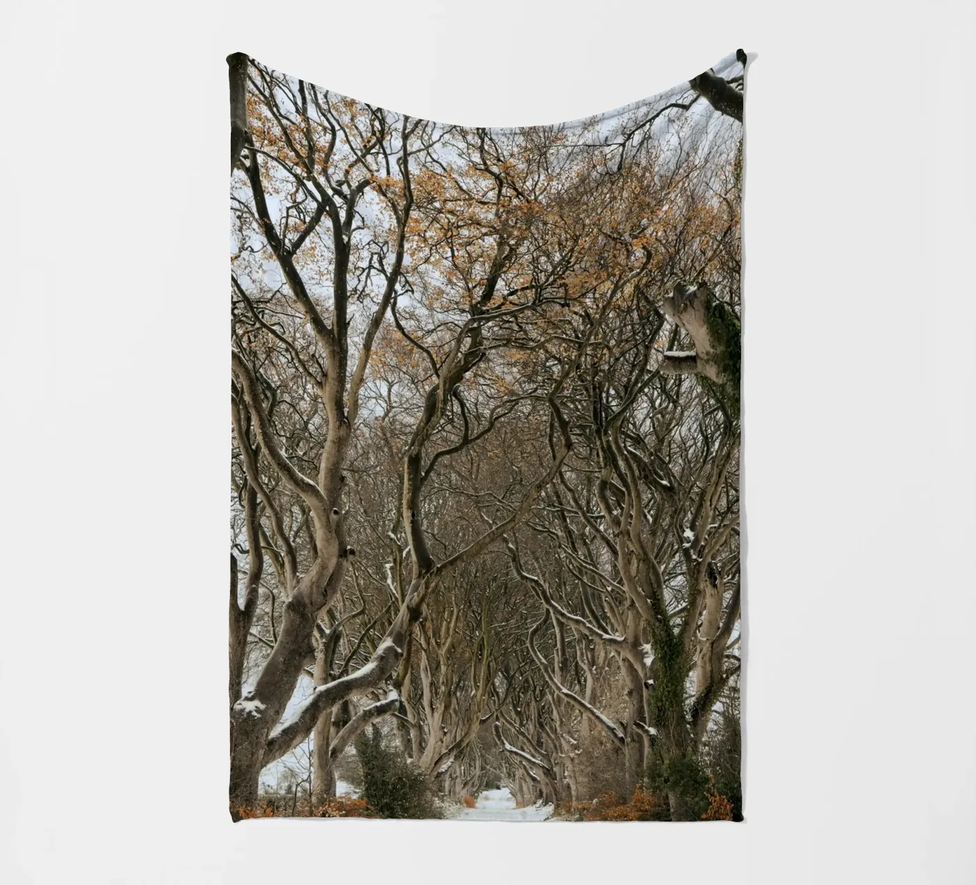 strada degli alberi coperta in pile da Earthly Visions