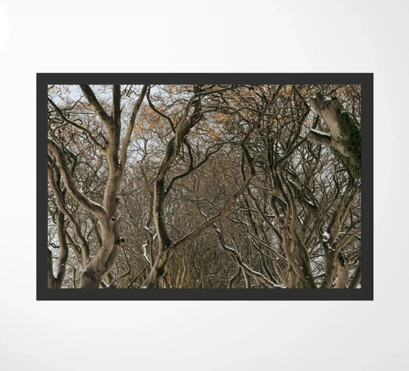 trees road doormat by Earthly Visions
