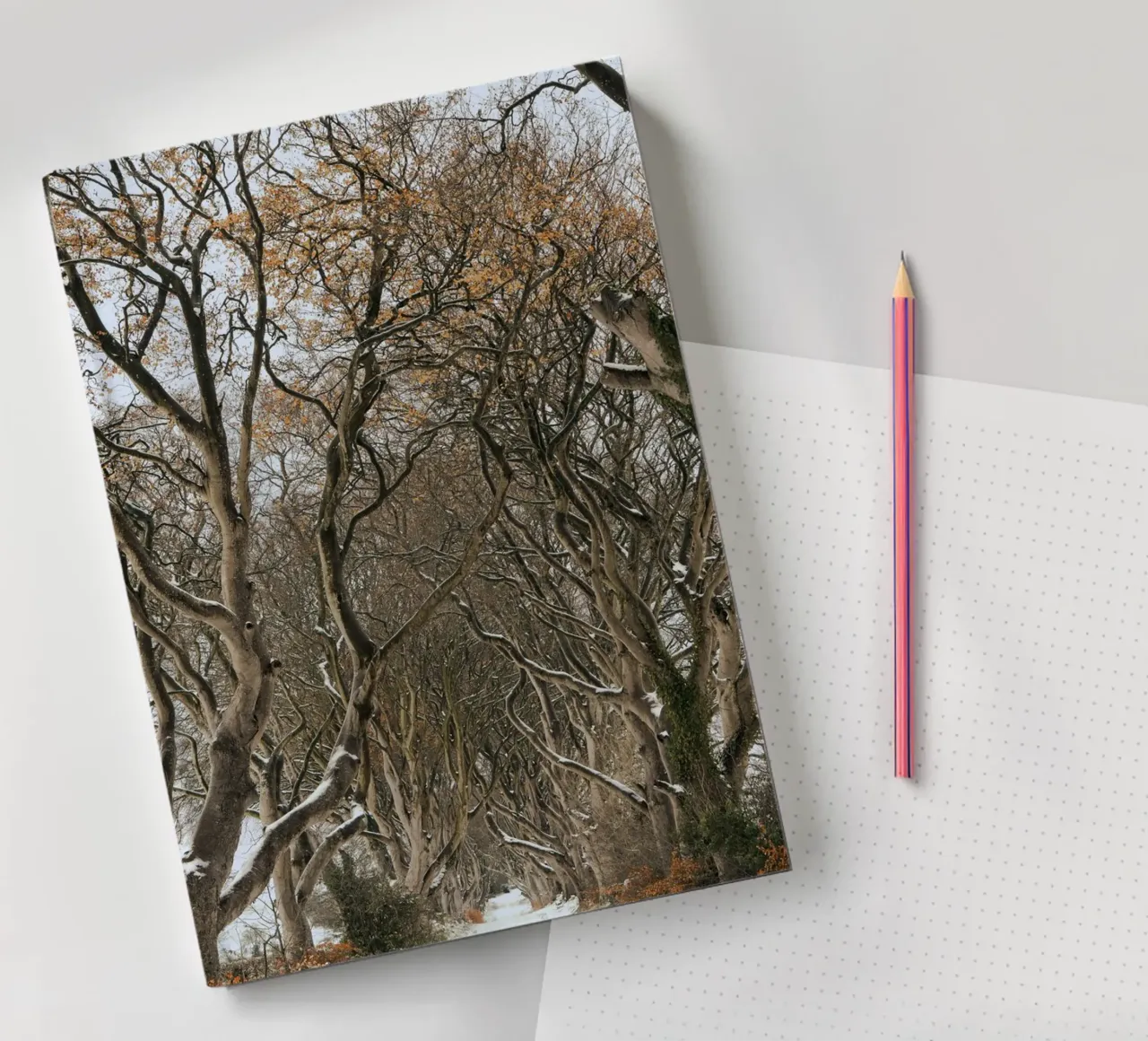 trees road notebook by Earthly Visions